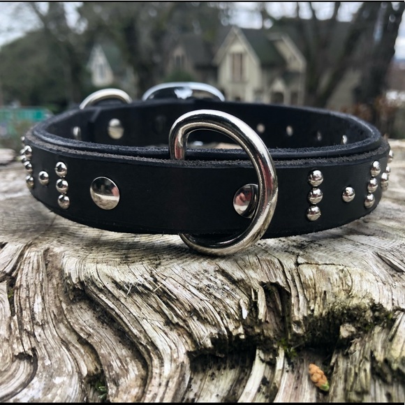 Studded leather dog collar English Bridle - Picture 1 of 3